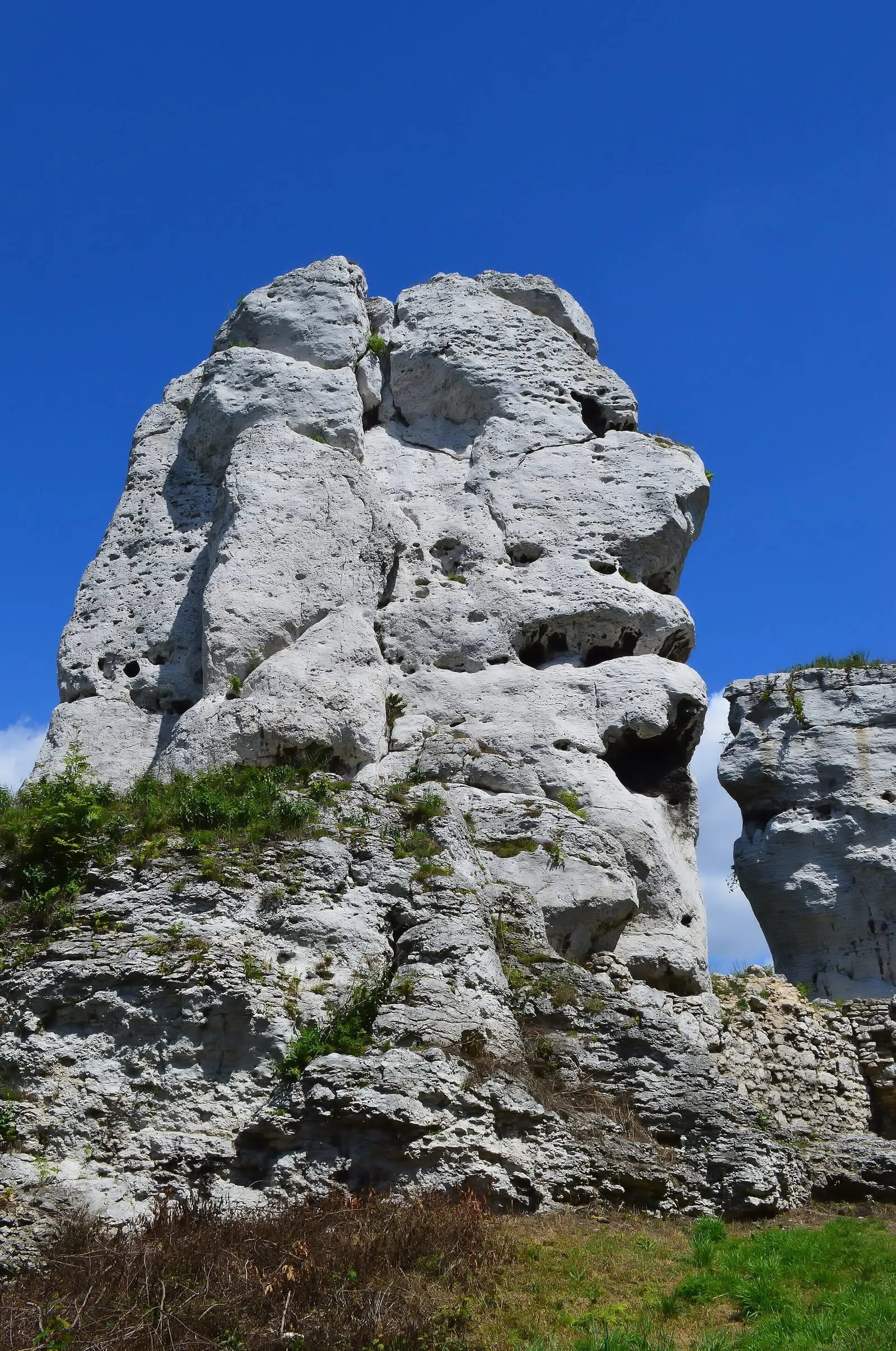 Zamek Ogrodzieniec